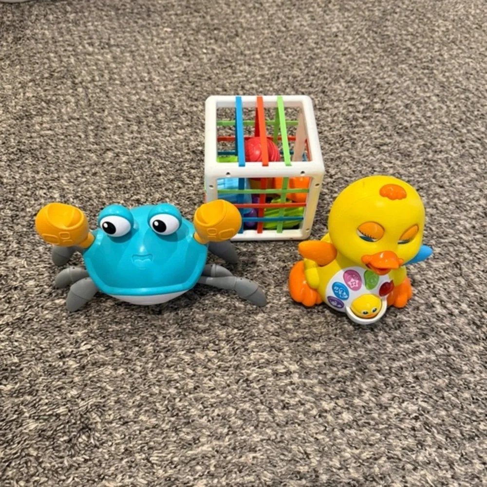 Colorful Crab and Duck Toy Set